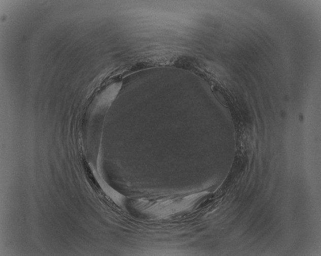 X0000067890693200604271827