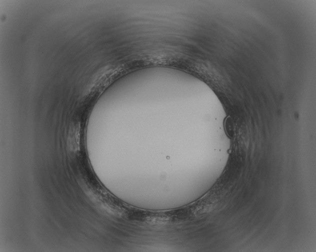 X0000067890694200604271827