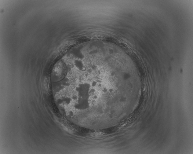 X0000067890695200604271827