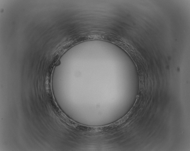 X0000067890696200604271827