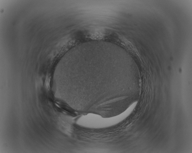 X0000067890697200604271827