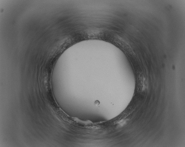 X0000067890698200604271827