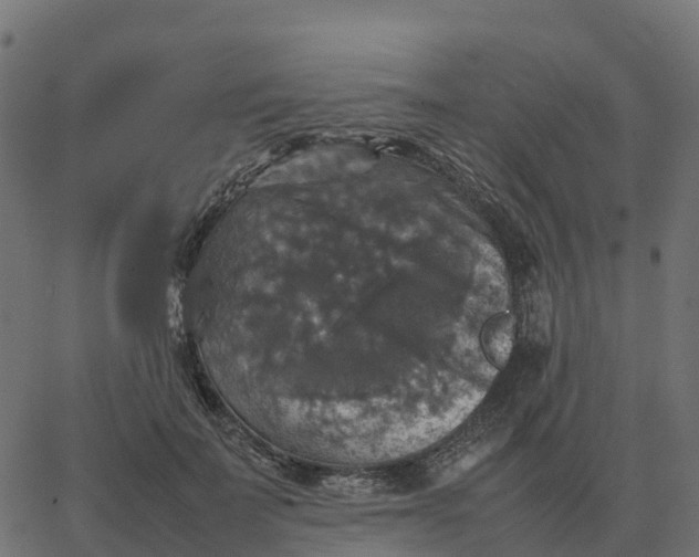 X0000067890699200604271827