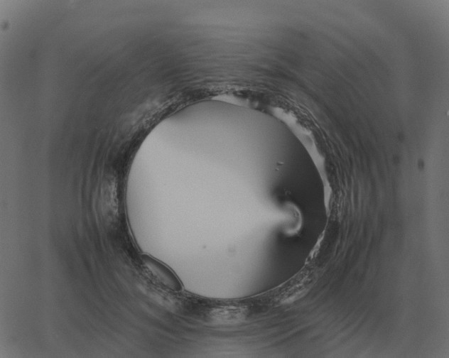 X0000067890700200604271827