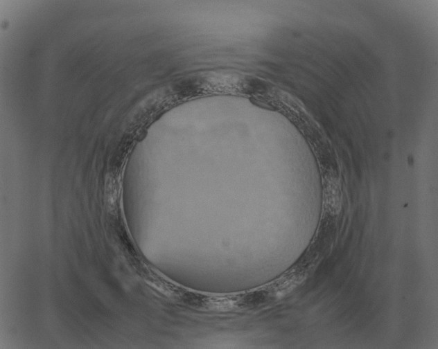 X0000067890701200604271827