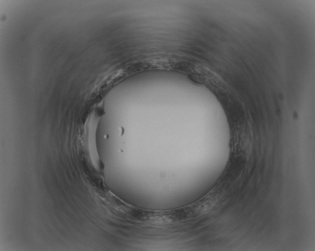 X0000067890702200604271827