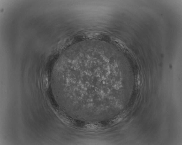 X0000067890703200604271827