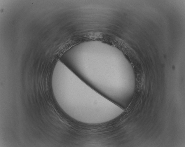 X0000067890704200604271827