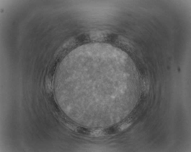 X0000067890705200604271827