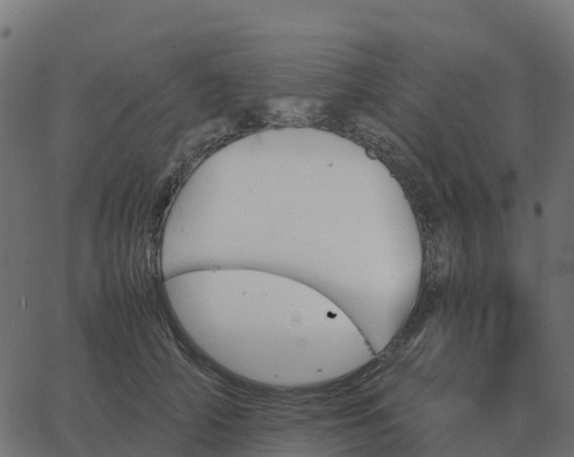 X0000067890706200604271827