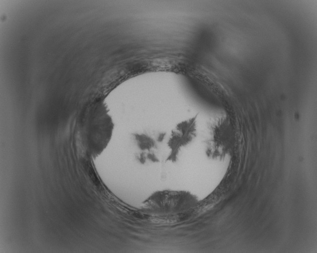 X0000067890707200604271826