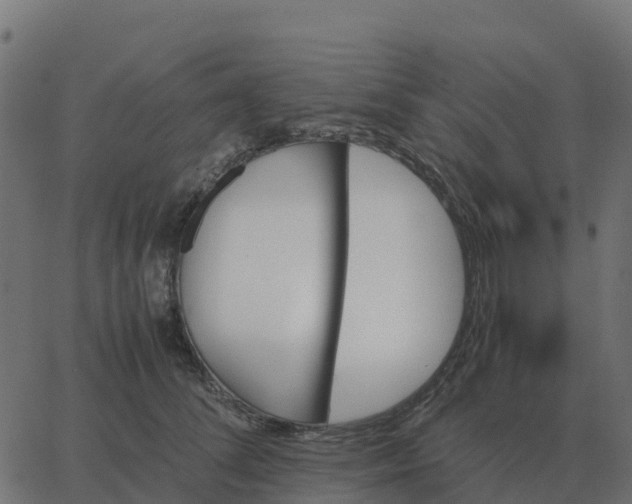 X0000067890708200604271826