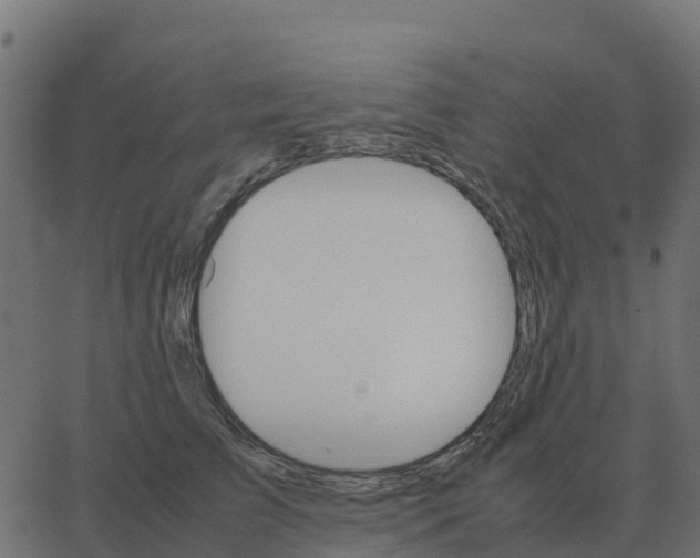 X0000067890709200604271826