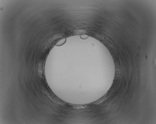 X0000067890710200604271826