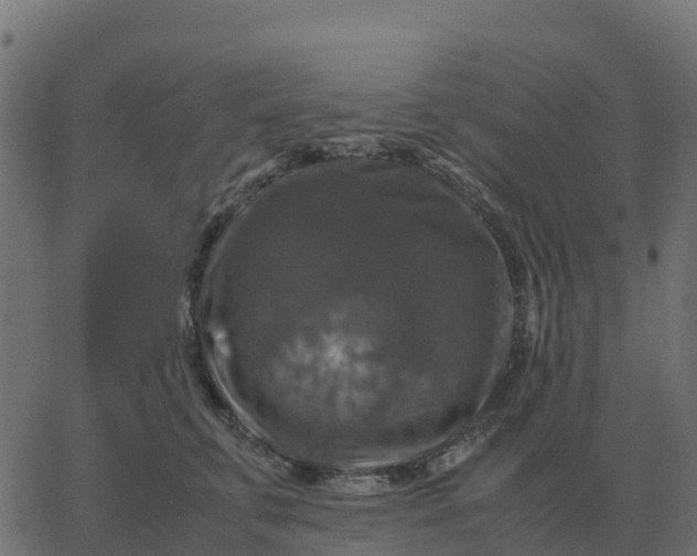 X0000067890711200604271826