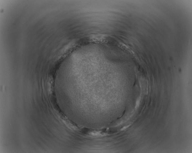 X0000067890712200604271826