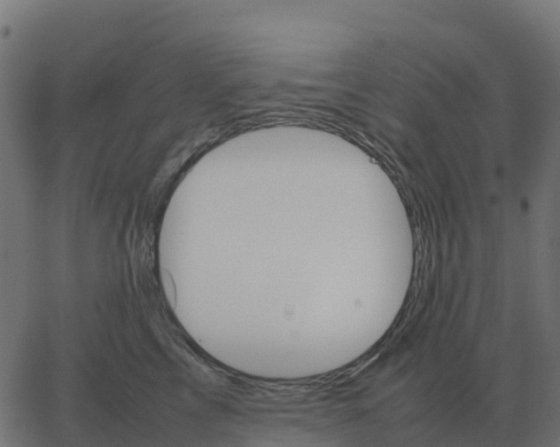 X0000067890713200604271826