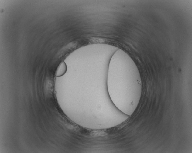 X0000067890714200604271826