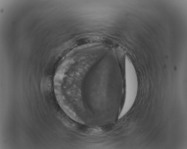 X0000067890715200604271826