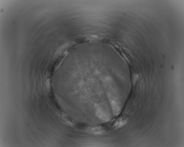 X0000067890716200604271826