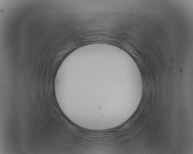 X0000067890717200604271826