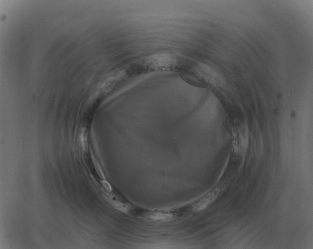 X0000067890718200604271826