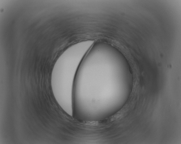 X0000067890720200604271826