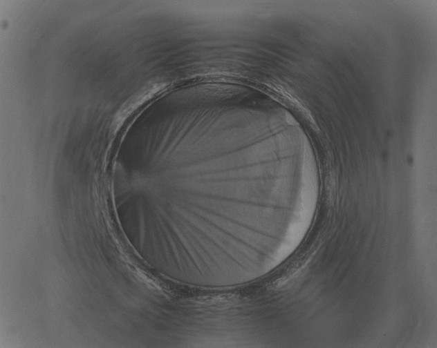 X0000067890721200604271825