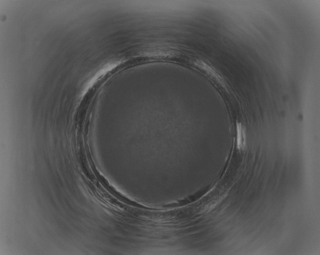 X0000067890723200604271825