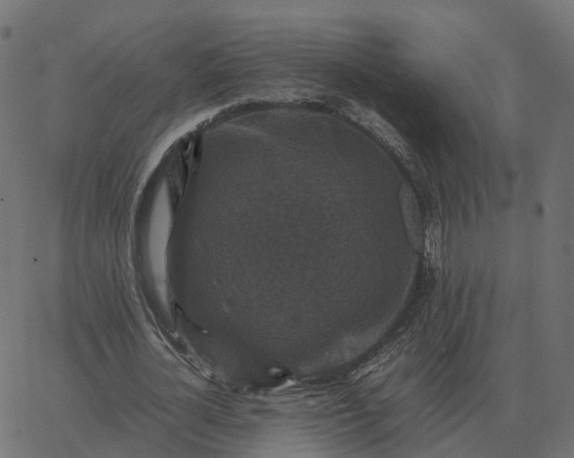 X0000067890724200604271825