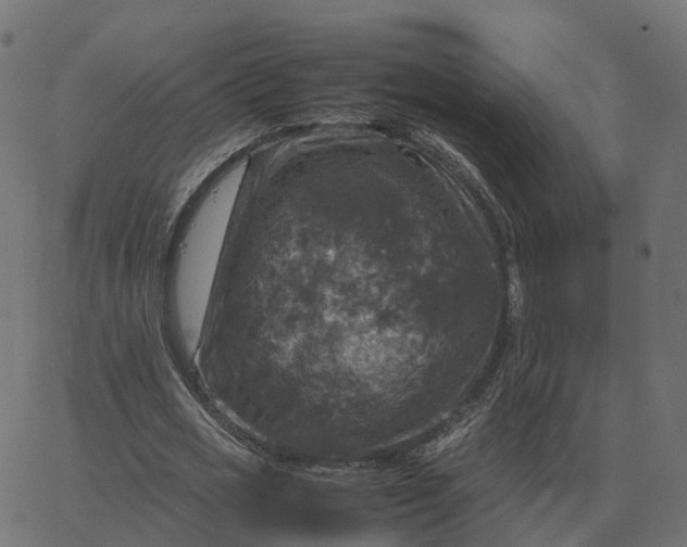 X0000067890725200604271825