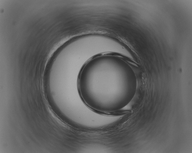 X0000067890726200604271825