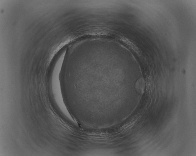 X0000067890727200604271826