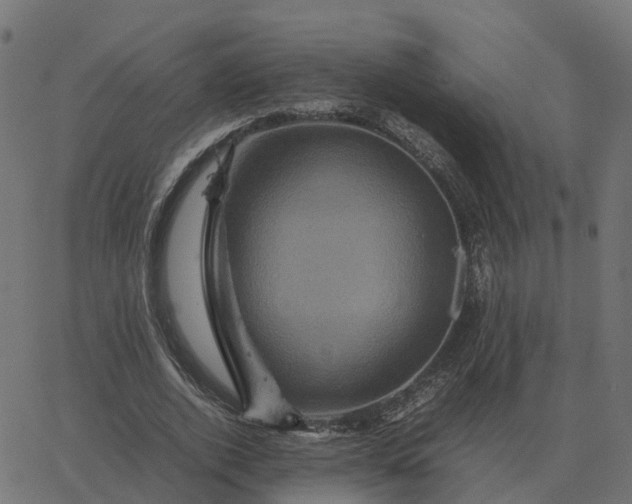 X0000067890728200604271826