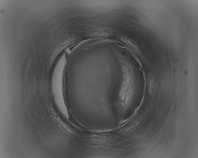 X0000067890729200604271826