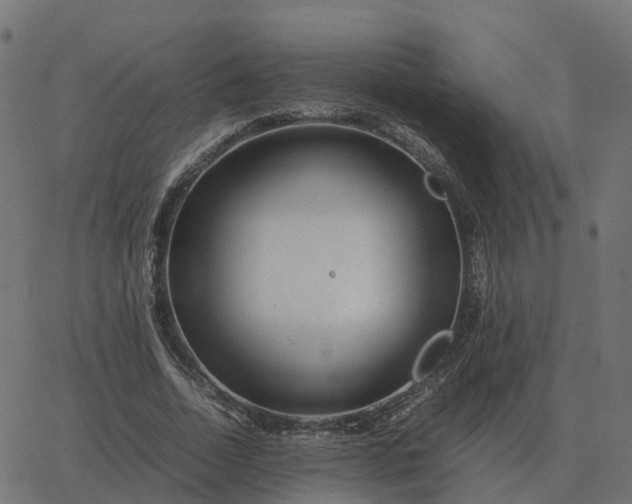 X0000067890730200604271826