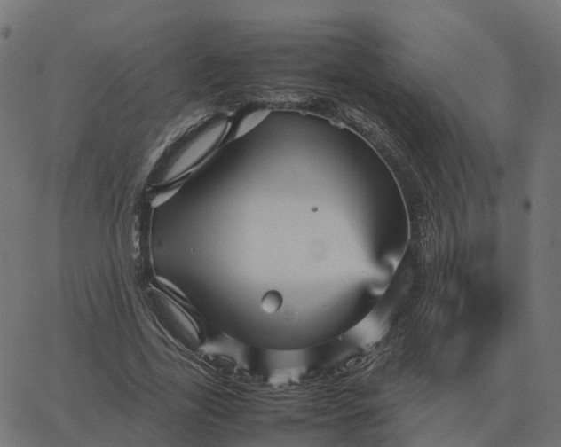 X0000067890731200604271826