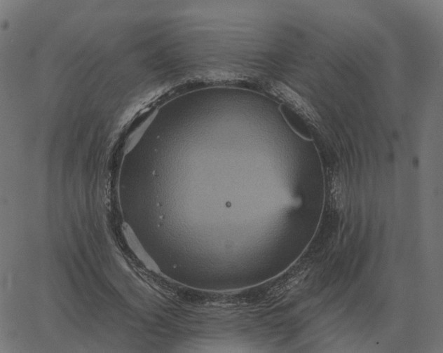 X0000067890732200604271826