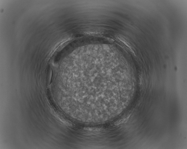 X0000067890733200604271826