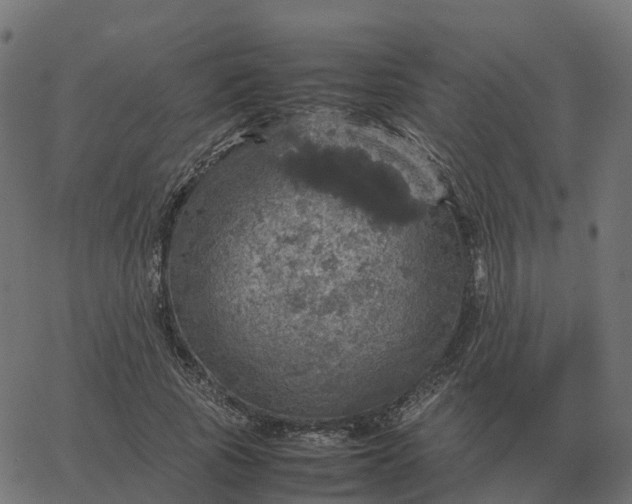 X0000067890737200604271826