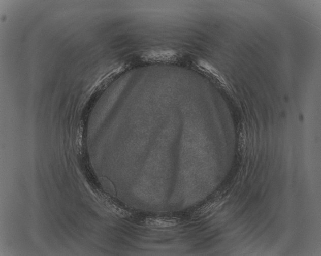 X0000067890739200604271826