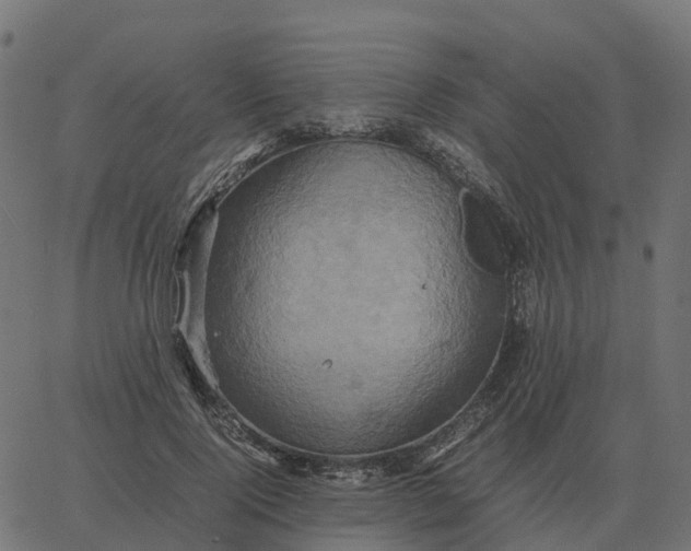 X0000067890740200604271826