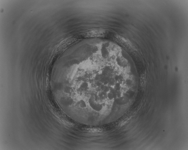 X0000067890741200604271826