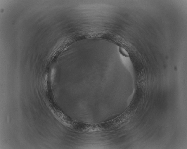 X0000067890742200604271826