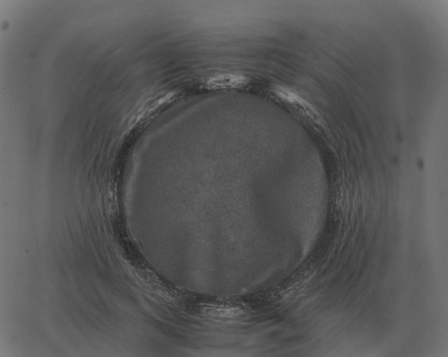 X0000067890743200604271826