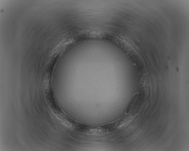 X0000067890744200604271826