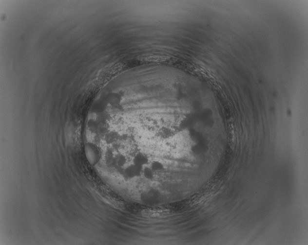 X0000067890745200604271826