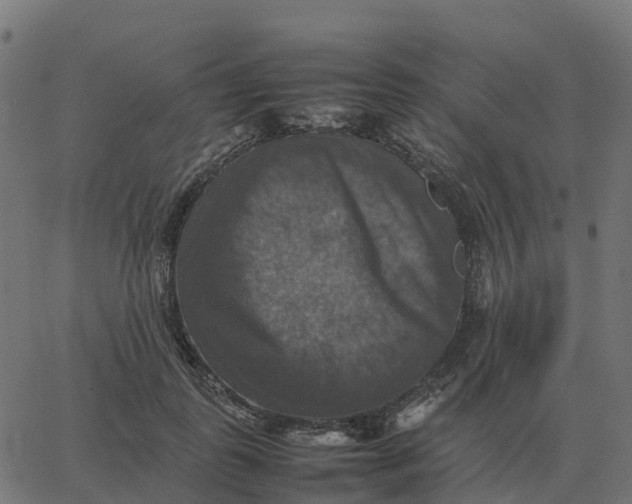 X0000067890747200604271826