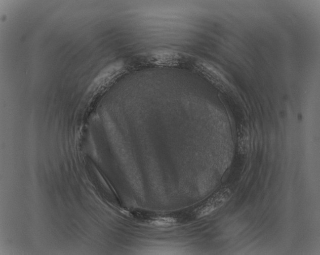 X0000067890748200604271826