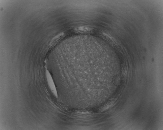 X0000067890749200604271826